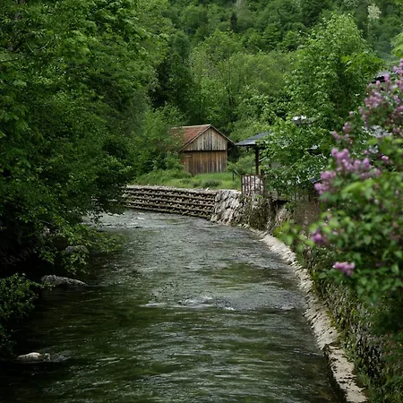 River House Spa&sport 4* Bohinj