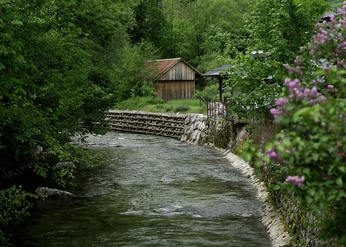 River House Spa&sport 4* בוהין